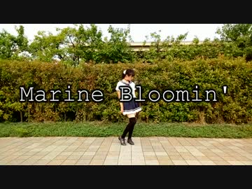 【16歳初舞】Marine Bloomin'　踊ってみた【きい】