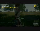 【PUBG】ドン勝４２杯目 後半【DUO】