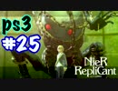 ごはんつぶのNieR Replicant♯25【女性実況】