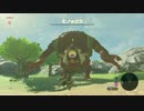解説しながらゼルダの伝説 ブレスオブザワイルド 字幕プレイ動画part08