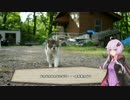 私と結月ゆかりの旅はどこまでも【第二回ゆかりキャンプ編】