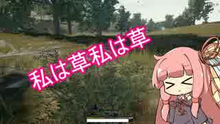 【PUBG】葵「お姉ちゃん、今日の夕飯はドン勝がいいな～？」part9