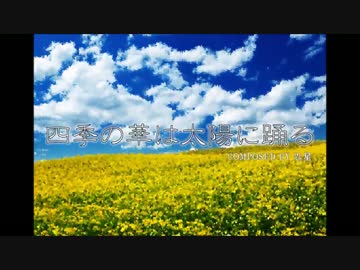 【東方風自作曲】四季の華は太陽に踊る