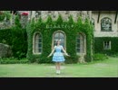 【台湾】 ねこみみスイッチ 踊ってみた【七羽】 スペシャル♥