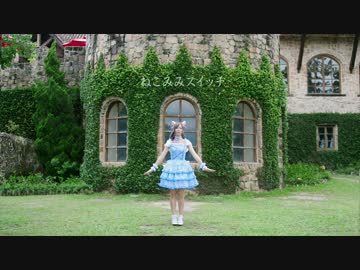 【台湾】 ねこみみスイッチ 踊ってみた【七羽】 スペシャル♥