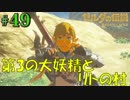 盗賊リンクのゼル伝BOW実況part49
