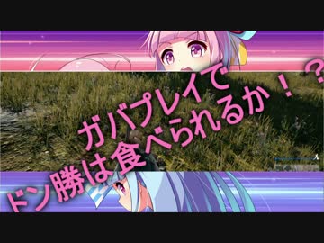 【PUBG】ガバプレイでドン勝は食べられるか！？[琴葉姉妹実況]