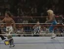 【WWF】ジェフ・ジャレット(ch.)vsショーン・マイケルズ