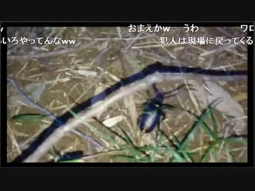 【生放送】ミヤマクワガタいるかな（2017/07/02）