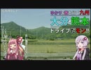 【ゆかり×茜と行く】九州大分･熊本ドライブだモン！【その3】