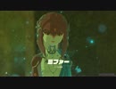 【ゼルダの伝説】ブレスオブザワイルド【マスターモード：67】