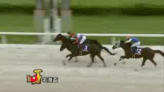 第21回名港盃 エイシンニシパ