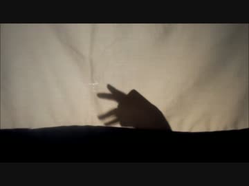 手影絵劇　ShadowArt（シャドウアート）