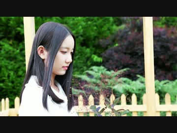 【暁雨】曖昧さ回避 踊ってみた