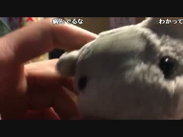 すあだ生放送 2017/07/22 「すあだの放送」 2/2