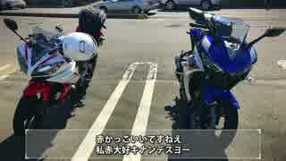 【YZF-R15】秩父ツーリング【車載動画】