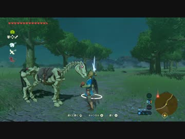 【実況】愛に生きるゼルダの伝説ブレスオブザワイルド part97