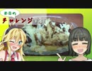 【VOICEROID】本日のチャレンジ料理＃3『豚ホルモンでワインにあう料理を』