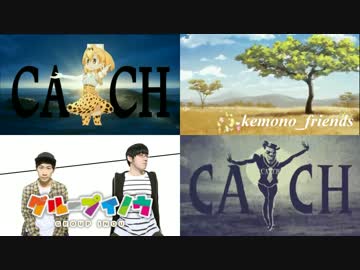 けものフレンズで CATCH 比較