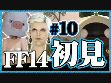 【ギスギスしないFF14実況】初見の兄(苦労人)妹(自由人)がほのぼの実況#10