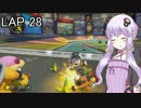 マリオカートｯｴｰｲDX　LAP28(も悲惨大会5)【VOICEROID実況】