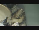 #5 【ホラー】　からあ　「Little Nightmares」　【実況】