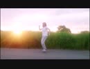 【夕日と一緒に】彗星ハネムーン【踊ってみた】
