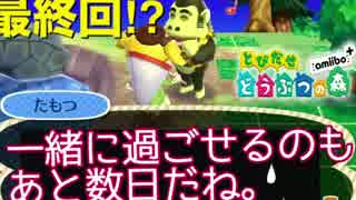 【実況】とび森で牧場物語を再現するPart12【とびだせどうぶつの森amiibo+】