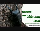 昆虫解説付!1周虫コンプ小説家への軌跡…【ぼくなつPSP】8月30日