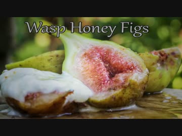 ハニーデザート