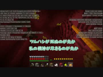 【Minecraft】鳥と暮らす和やかな日々 １４羽目【Exotic Birds】