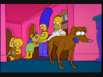 ホモと学ぶ犬の家出