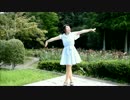 【星夜】バタフライ・グラフィティ【踊ってみた】