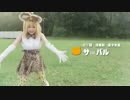 【けものフレンズ】おえかき動物図鑑【 どうぶつビスケッツ×PPP】