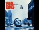 Mr. Big - Promise Her the Moon (Studio Version)