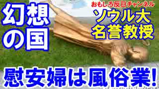 【韓国の暗黒史が暴かれ大混乱】 ソウル大名誉教授が慰安婦は風俗業だ！