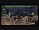 【MHP2G】 「王の領域」 ■ヘビィ ◆王はオトモもキング