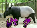 バク