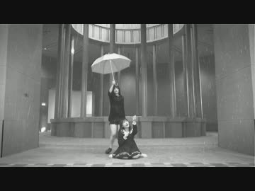 【松本ひめｘNIKU】東京テディベア　踊ってみた【シンガポール】