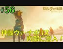 盗賊リンクのゼル伝BOW実況part56