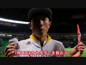 【MLB】2017年メジャーリーグ珍プレー（前半戦編）