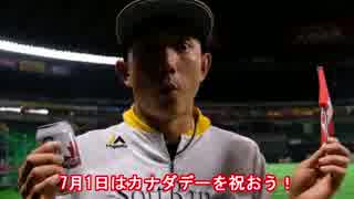 【MLB】2017年メジャーリーグ珍プレー（前半戦編）