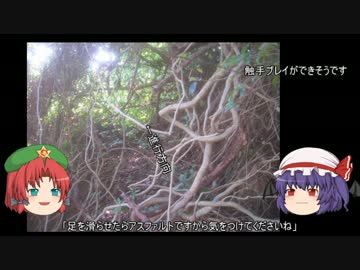 ゆっくり農民61畑を拓いてみませんか？＃13