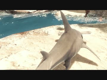 【Depth】異種総合格闘技 part18【ゆっくり実況プレイ】