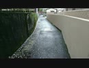【生海月】なまくらじお【2017.7.31】