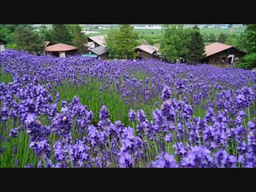 1750市区町村制覇第93話【北海道編7】