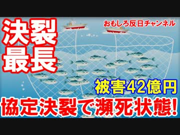【韓国漁民が飯食えねぇニダ】 日本が悪い！ウリの被害は４２億円！