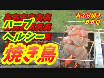 【炭火焼】ハーブヘルシー焼き鳥！【BBQ修造】16