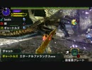 【MHXX】G★4 「天を廻りしその果てに・・・」