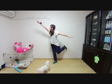 【みちか】ハウトゥーワープ【踊ってみた】